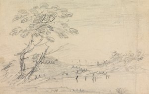 景观