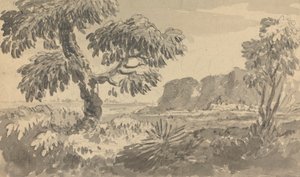 有两棵树和悬崖的风景 作者 威廉·吉尔平牧师