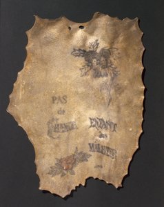 纹有花朵和铭文的人类皮肤，法国 作者 John Pardon
