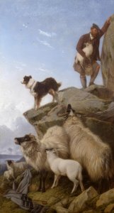安德尔（R.Ansdell），《失落的绵羊-绘画》，1868年 作者 理查德·安斯德尔