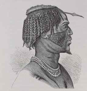 Zandeh，来自“人类历史”，第三卷，由Friedrich Ratzel教授，1898年