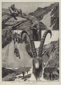 Ibex-Shooting在喜马拉雅山雕刻 作者 Richard Caton Woodville junior