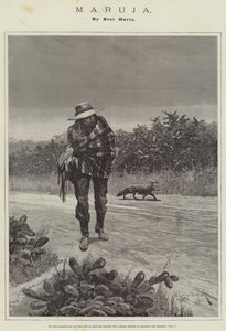 Maruja，Bret Harte