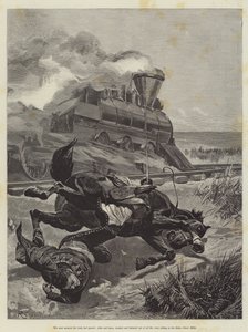 Maruja，Bret Harte