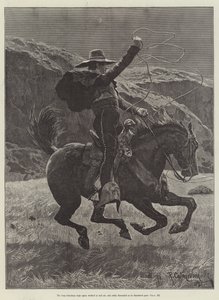Maruja，Bret Harte