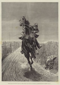 Maruja，Bret Harte
