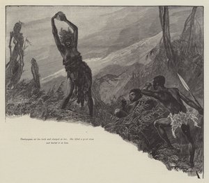 Nada the Lily，作者是H Rider Haggard