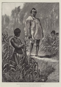 Nada the Lily，作者是H Rider Haggard