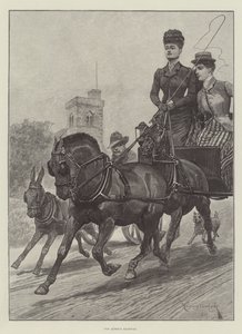 女王的高速公路