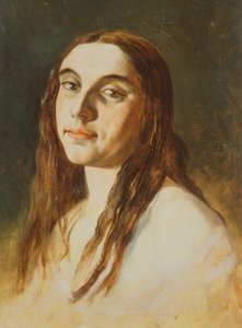 一位疯女士的画像