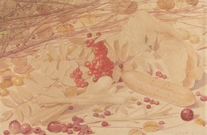 静物画，有醋栗、覆盆子、红醋栗、葱、小黄瓜和树叶 作者 理查德·达德