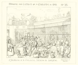 1849年，动物园协会的前景 作者 理查德·道尔