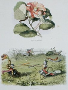 一只跳舞的蝴蝶》和《锦标赛》，来自威廉-阿林汉姆和安德鲁-兰的《在仙境中》的插图。威廉-阿林汉姆和安德鲁-朗的《精灵世界系列图画》（彩色平印）。 作者 理查德·道尔