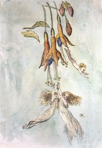 芙蓉花中的盛宴（纸上水彩画）