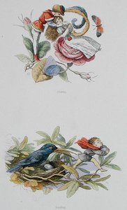 调情和偷窃，插图来自《在仙境中》。来自精灵世界的系列图片》，作者威廉-阿林汉姆和安德鲁-兰（彩色平印）。 作者 理查德·道尔
