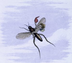 一只昆虫的翅膀上。理查德-多伊尔绘制的《童话世界》插图。来自精灵世界的系列图片 "配 W-阿林汉姆的诗歌。1869-1870.大英图书馆机构参考资料：书架标识 ID：1876 e18
水 作者 理查德·道尔