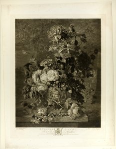 花卉作品，来自赫顿画廊 作者 理查德·厄洛姆（Richard Earlom）