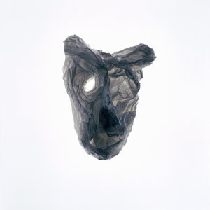 食尸鬼，2015 年