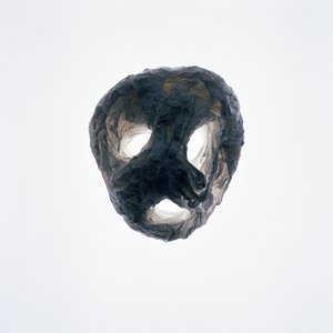 食尸鬼，2015 年