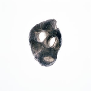 食尸鬼，2015 年