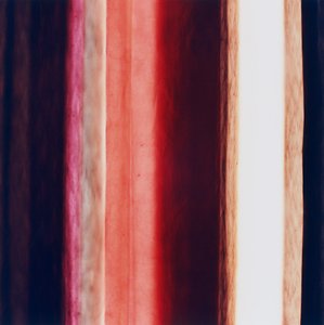 条纹 XI，2005 年 作者 理查德·格林