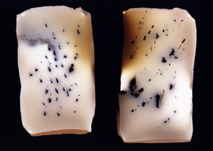 无题（双修），2001 作者 理查德·格林
