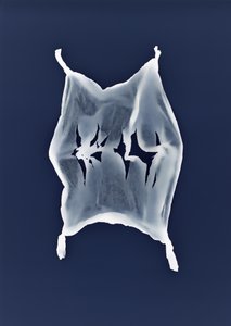 无题，2003 年 作者 理查德·格林
