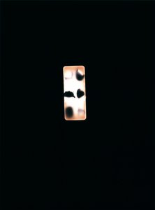 无题》，2004 年（独一无二的 c-type 照片）