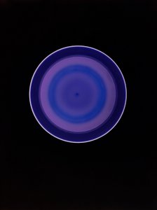 无题，2004 作者 理查德·格林