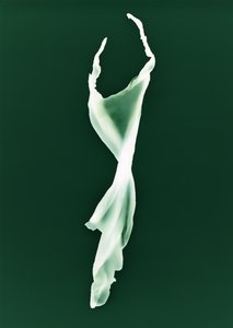 无题》，2004 年 作者 理查德·格林