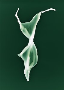 无题》，2004 年 作者 理查德·格林