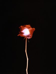 无题，2007 作者 理查德·格林