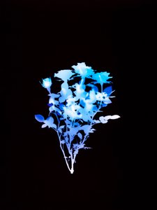 无题，2008 年 作者 理查德·格林