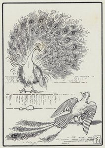 The Jay And The Peacock (engraving)