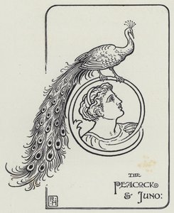 The Peacock And Juno (engraving)