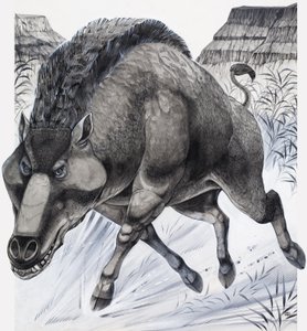 大东（纸上水粉画）