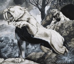 剑齿虎（纸上水粉画）