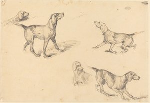 法国尖头犬的五项研究 作者 理查德·帕克斯·博宁顿