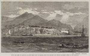 阿卡普尔科镇和堡垒，位于墨西哥西海岸，英国和法国中队位于港口 作者 理查德·普里恩·利奇