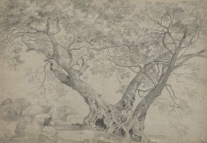 内米湖畔的 Arbra Sacra，c.1754-56（纸上黑白粉笔） 作者 理查德·威尔逊