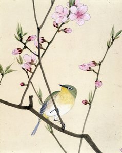 鸟 - Riou Chim 的日本绘画，十九世纪末 作者 刘钦