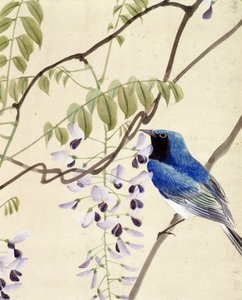 鸟 - Riou Chim 的日本绘画，十九世纪末 作者 刘钦