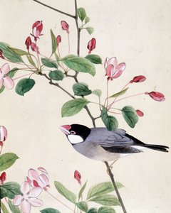 鸟 - Riou Chim 的日本绘画，十九世纪末 作者 刘钦