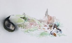 蝇尖，2015 年（水彩画） 作者 罗布·D·戴维斯