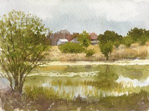 克鲁姆利的池塘，2014 年（纸上水彩画）