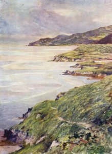 孤独的海岸，巴茅斯河口（彩色平印）。 作者 罗伯特（后）福勒