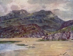 靠近Penrhyn Deudraeth的孤独海岸（彩色平版印刷）。 作者 罗伯特（后）福勒