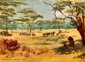 研究今晚的菜单》，1944年。   作者 罗伯特·巴登·鲍威尔