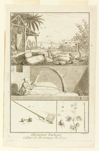 狄德罗百科全书》第一卷中的 "Culture et Arsonnage du Coton"。