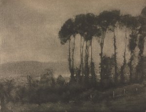摄影作品：图克山谷（Toucques Valley），1906年。